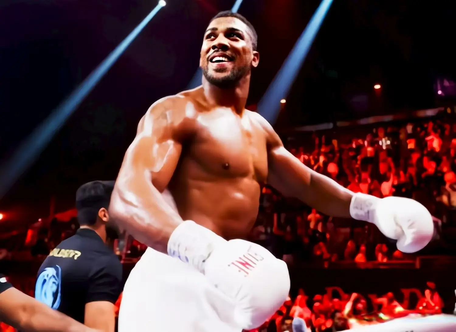 img, 进行任何实