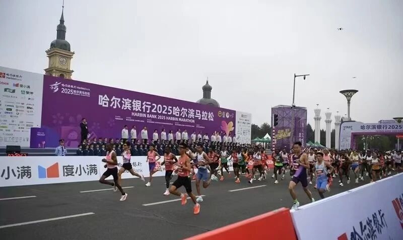 滨这几处, fpDAk, GDFXD 滨这几处, fpDAk, GDFXD